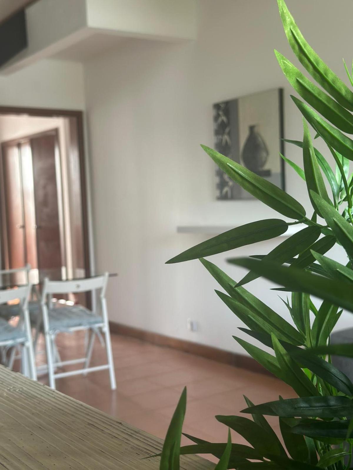 Apartment Pedra *